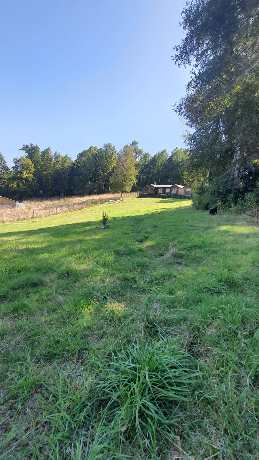 Vista parcela