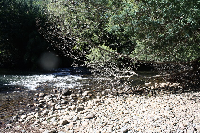 IMG_5614